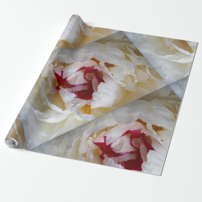 Papel De Regalo Pétalos de Peony (Desenrollado)