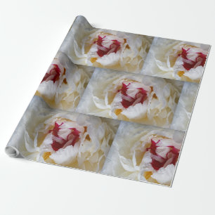 Papel De Regalo Pétalos de Peony