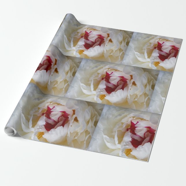 Papel De Regalo Pétalos de Peony (Desenrollado)