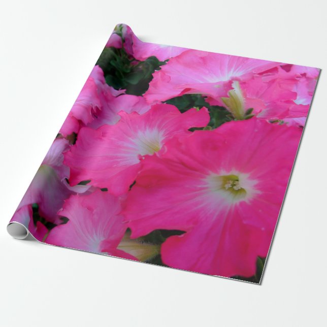 Papel De Regalo Petunias rosadas (Desenrollado)
