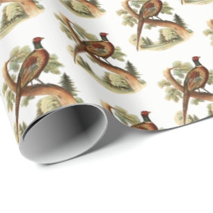 Papel De Regalo Pheasant vintage en rama con color de dibujo de ár