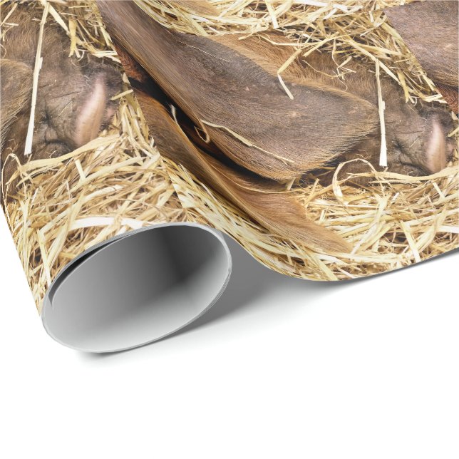 PAPEL DE REGALO PIGS (Esquina del rollo)