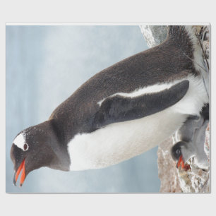 Papel De Regalo Pingüino