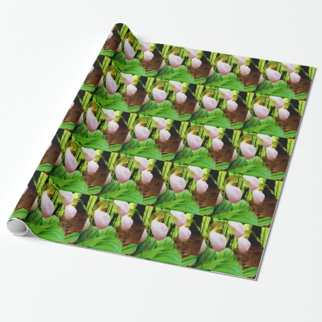 Papel De Regalo Pink Lady Slipper Wild Orchid (Desenrollado)