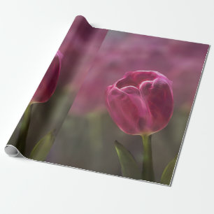 Papel De Regalo Pink Tulip Bokeh