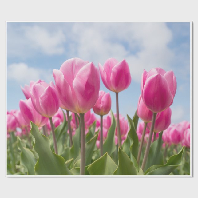 Papel De Regalo Pink Tulips Wrapping Paper  (Superficie plana)
