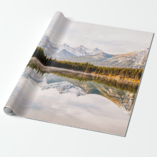 PAPEL DE REGALO PINOS VERDES JUNTO AL CUERPO DEL AGUA DURANTE EL D