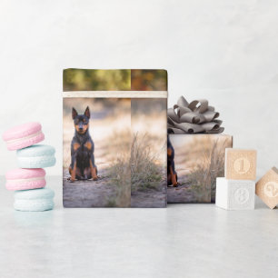 Papel De Regalo Pinscher Miniatura Sentado