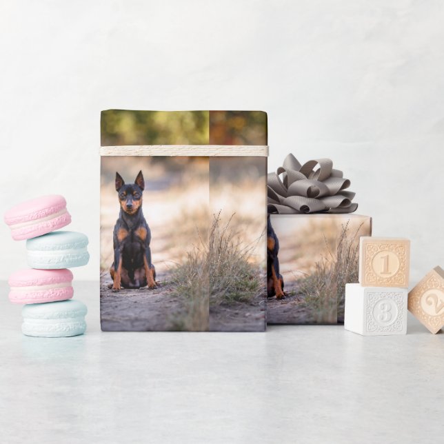Papel De Regalo Pinscher Miniatura Sentado (Baby Shower)