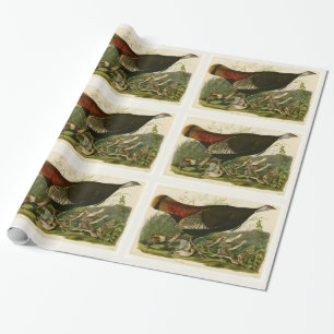 Papel De Regalo Pintado de aves salvajes Audubon en Turquía
