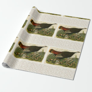Papel De Regalo Pintado de aves salvajes Audubon en Turquía