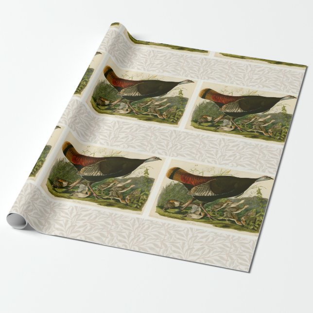 Papel De Regalo Pintado de aves salvajes Audubon en Turquía (Desenrollado)