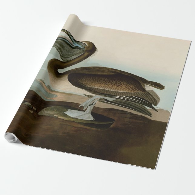 Papel De Regalo Pintura de arte pelicano John James Audubon Brown (Desenrollado)