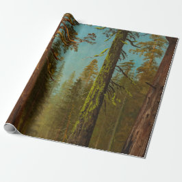 Papel De Regalo Pintura de bosque de secuoya gigante de Bierstadt