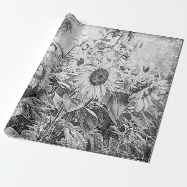 Papel De Regalo Pintura De Campo De Girasol Negro Y Blanco (Desenrollado)