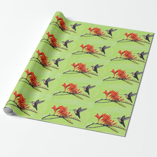 Papel De Regalo Pintura de colibrí y crocosmia (Desenrollado)