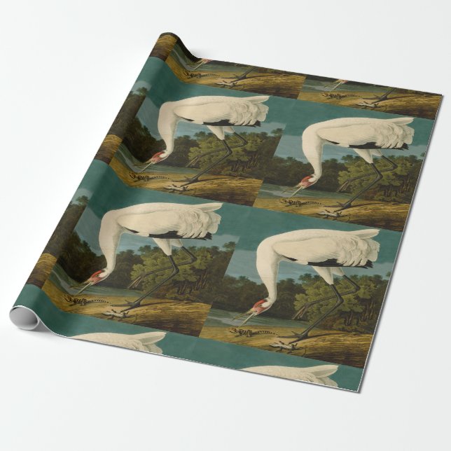 Papel De Regalo Pintura de pájaro de Crane Audubon (Desenrollado)