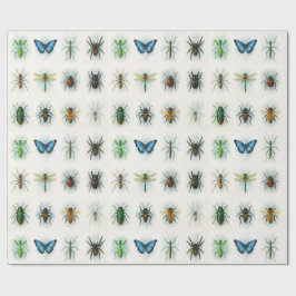 Papel De Regalo Pinturas de acuarela de colección de insectos arte