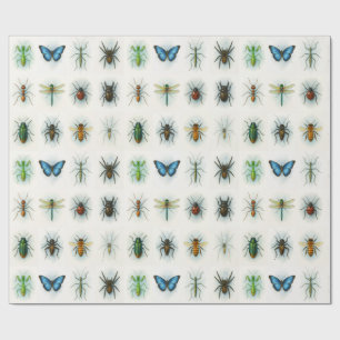Papel De Regalo Pinturas de acuarela de colección de insectos arte