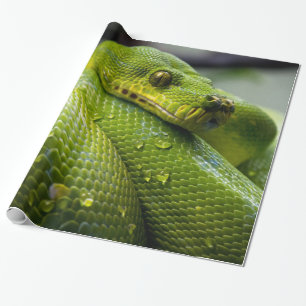 Papel De Regalo Pitón