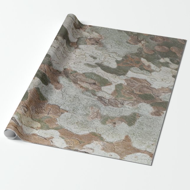 Papel De Regalo Plane tree camouflage looks bark pattern (Desenrollado)