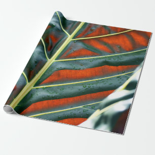 Papel De Regalo Planta de hoja verde