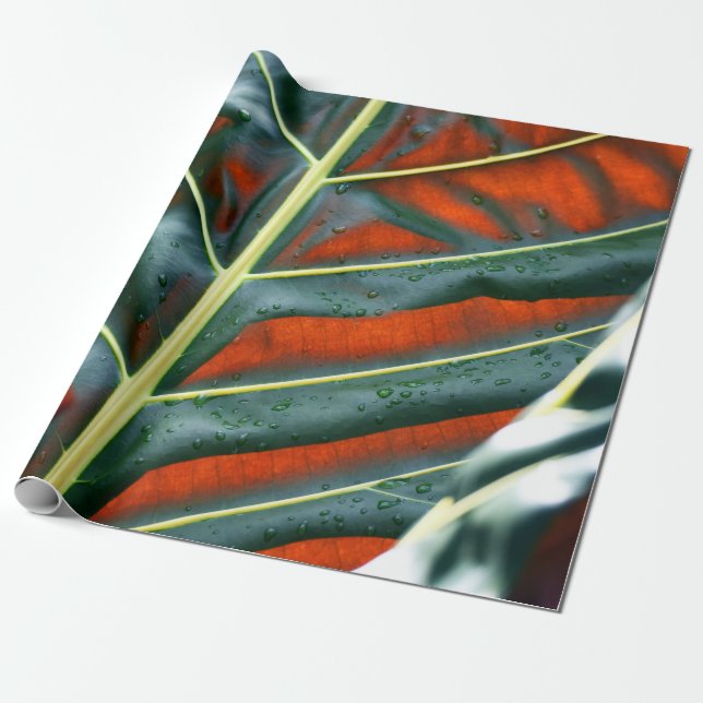 Papel De Regalo Planta de hoja verde (Desenrollado)
