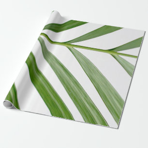 Papel De Regalo Planta de hoja verde durante el día