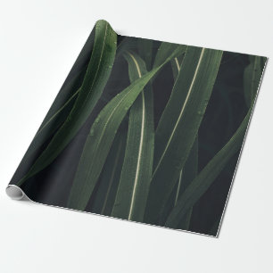 PAPEL DE REGALO PLANTA DE PLOMO VERDE