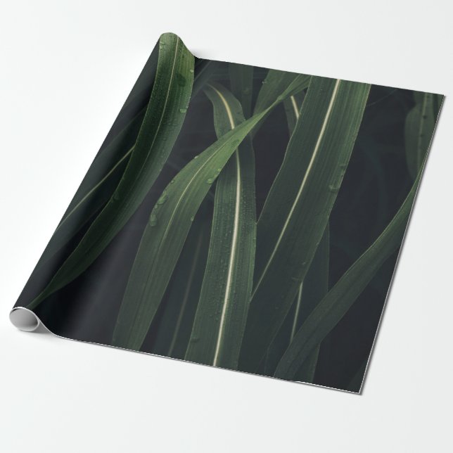 PAPEL DE REGALO PLANTA DE PLOMO VERDE (Desenrollado)