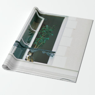 PAPEL DE REGALO PLANTA VERDE EN LA VENTANA BLANCA