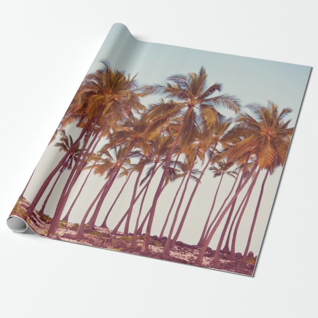 Papel De Regalo Plantación de palmeras (Desenrollado)
