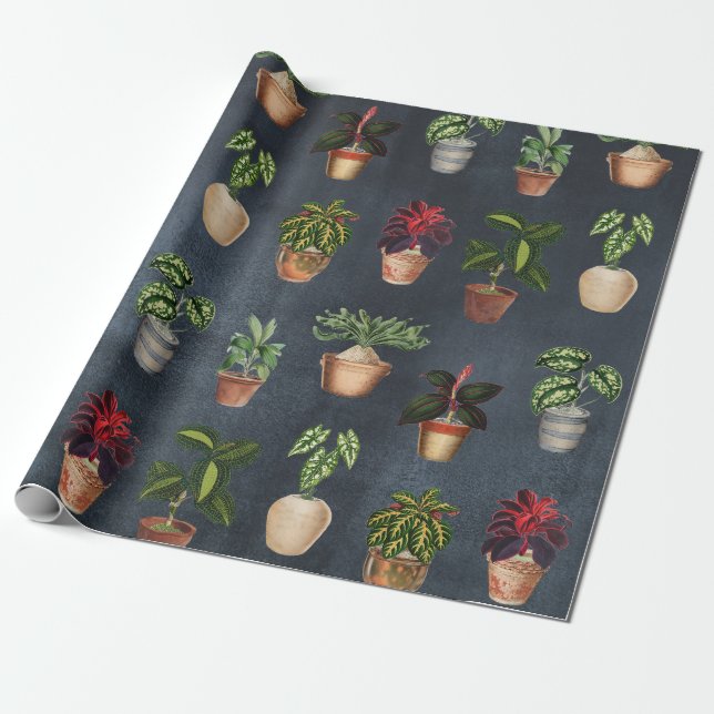 Papel De Regalo Plantas de acuarela Protegidas Terracotta Pots Rús (Desenrollado)