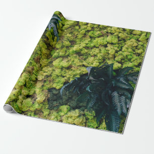 Papel De Regalo Plantas verdes arboladas