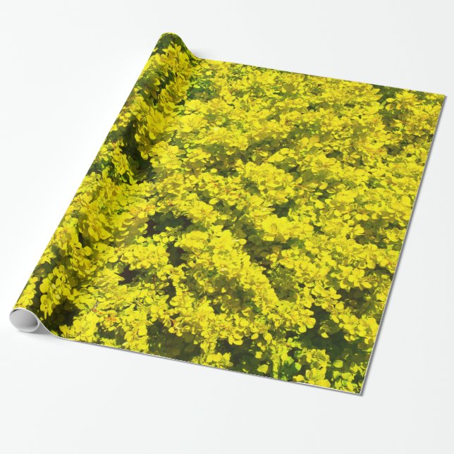 Papel De Regalo Plantilla de oro amarilla Woadwaxen de los (Desenrollado)