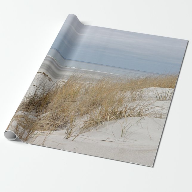 Papel De Regalo Playa y dunas de Sandy en invierno (Desenrollado)