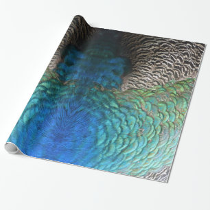 Papel De Regalo Plumas de Pavo Real I Diseño de Naturaleza Abstrac