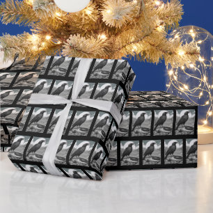 Papel De Regalo plumas maldecidas
