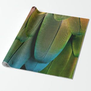Papel De Regalo plumas verdes y azules