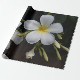 Papel De Regalo Plumeria blanco y amarillo