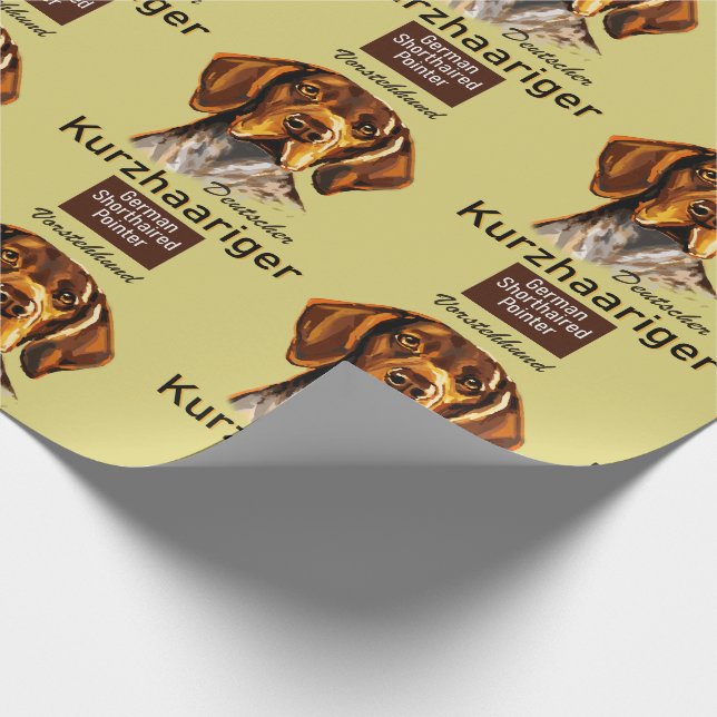 Papel De Regalo Pointer Kurzhaar, cadena alemana de cortos (Esquina)