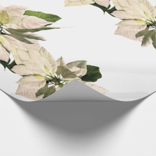 Papel De Regalo Pointsettia blanco florece día de fiesta del