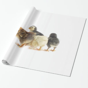 Papel De Regalo pollitos esponjosos