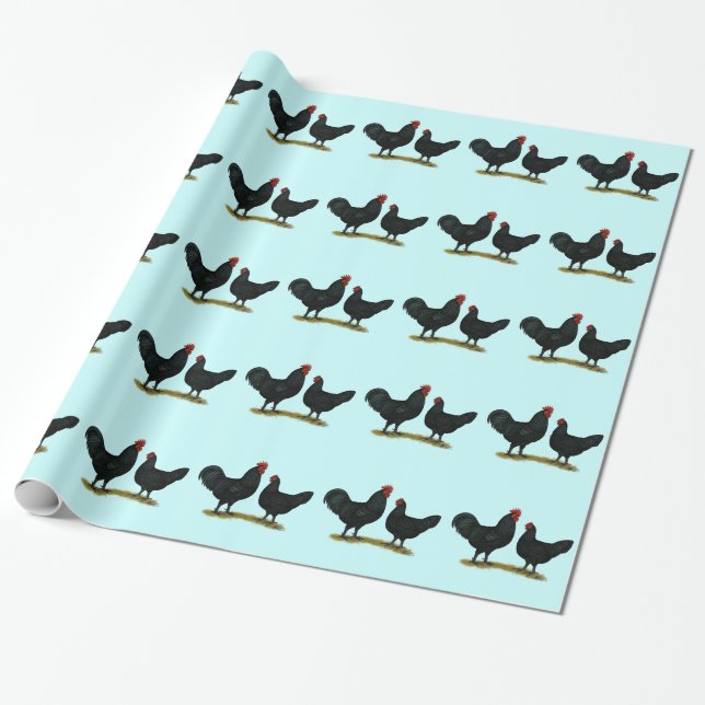 Papel De Regalo Pollos Java negros (Desenrollado)