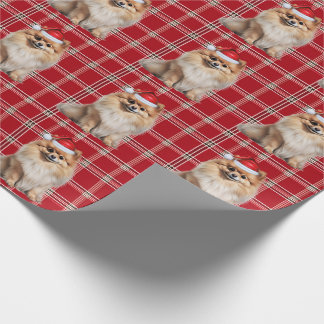 Papel De Regalo Pomeranian Dog Holiday Plaid Christmas