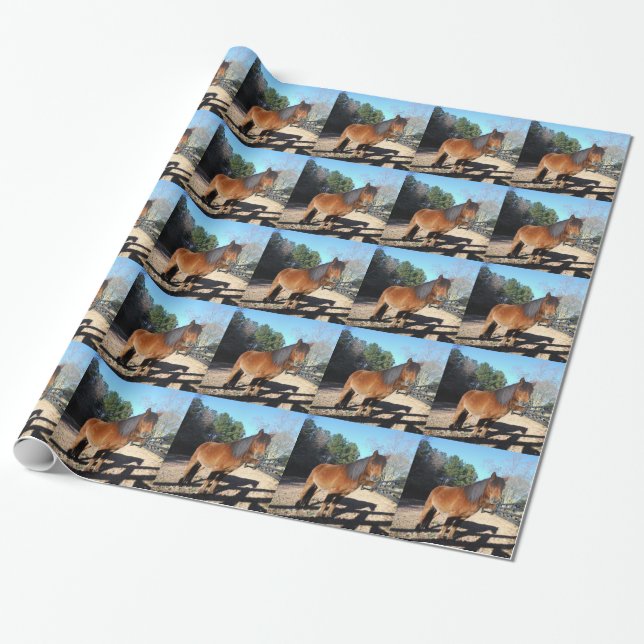 Papel De Regalo Poni marrón cielo turquesa (Desenrollado)