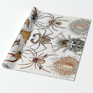 Papel De Regalo Poster de arañas Ernst Haeckel Arachnida
