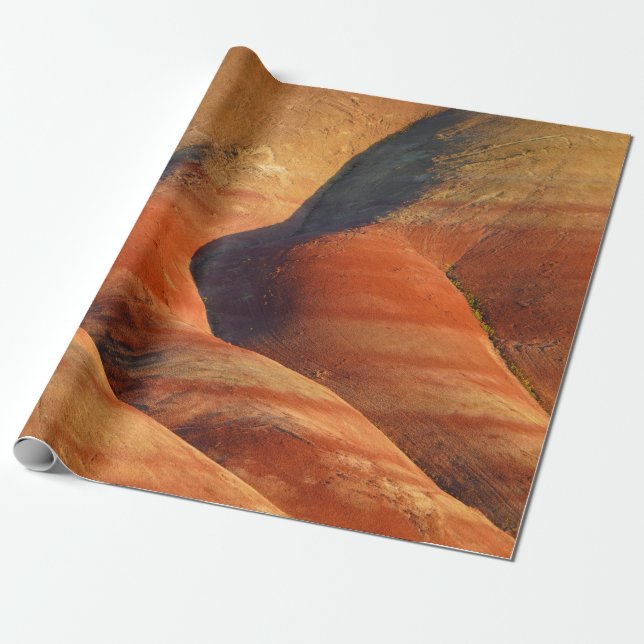 Papel De Regalo Prehistórico (Desenrollado)