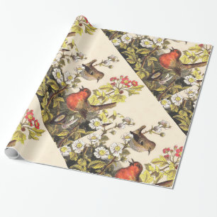Papel De Regalo Primavera Robin Birds Red Birds