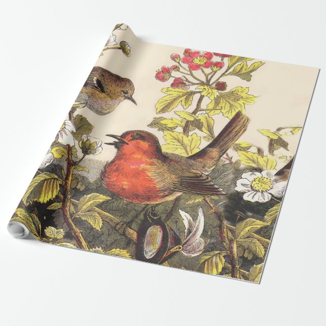 Papel De Regalo Primavera Robin Birds Red Birds (Desenrollado)
